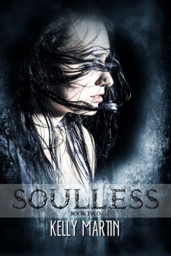 Heartless book cover 2
