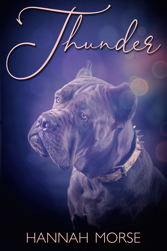 Thunder book cover