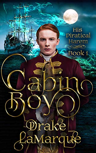 His Piratical Harem book cover 1