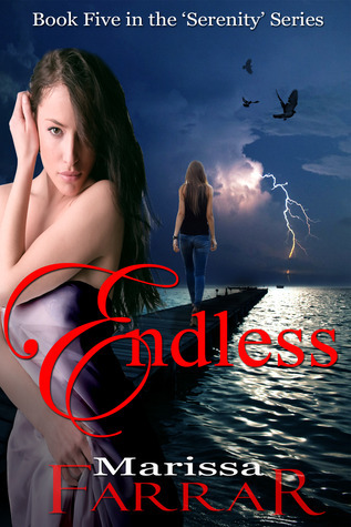 Endless book cover