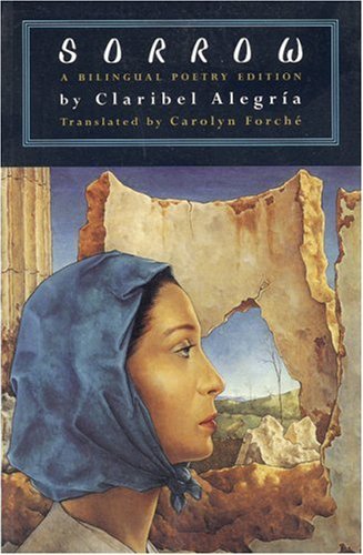 Sorrow book cover