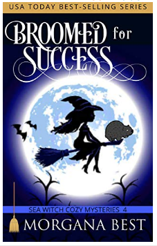 Broomed for Success book cover