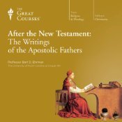 After the New Testament book cover