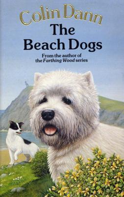 Beach Dogs book cover