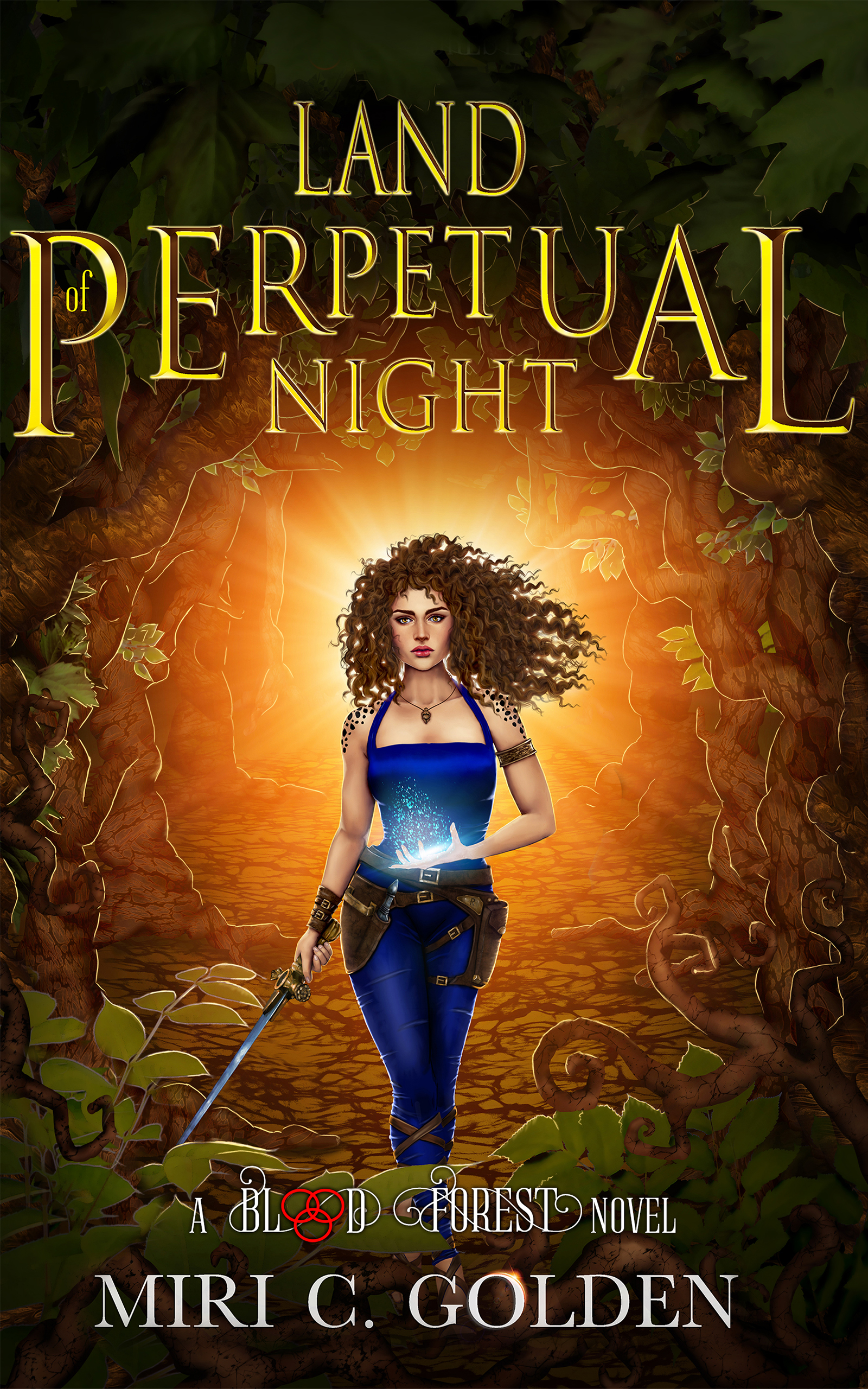 Land of Perpetual Night book cover