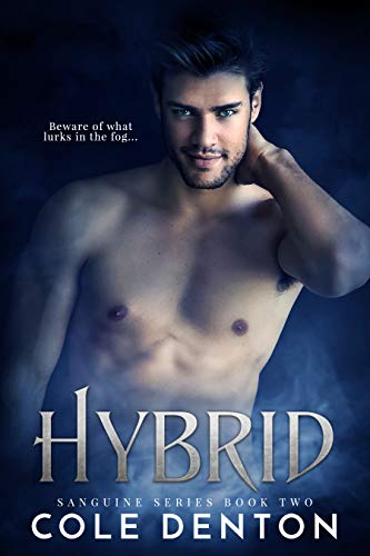 Sanguine book cover 2