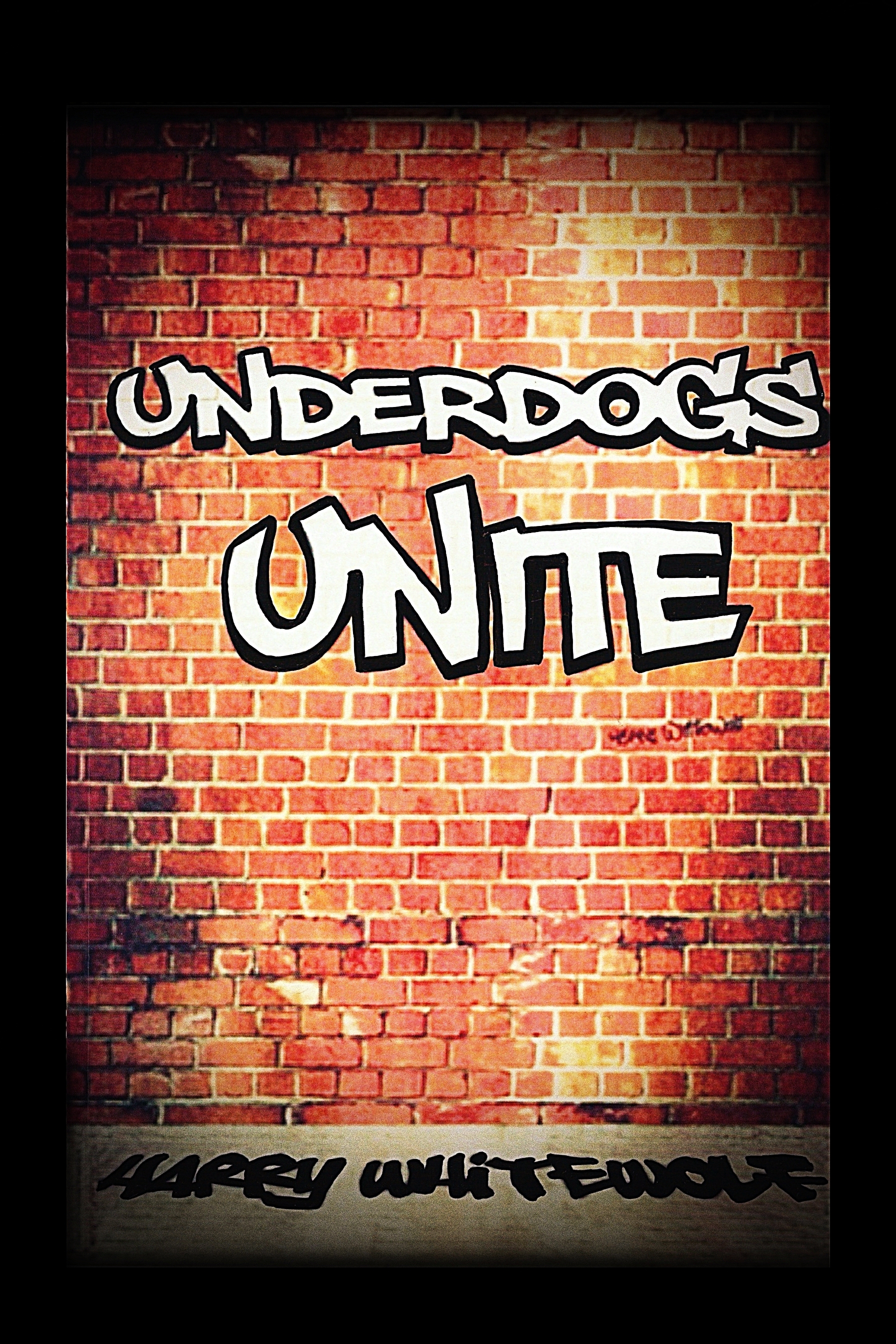Underdogs Unite book cover