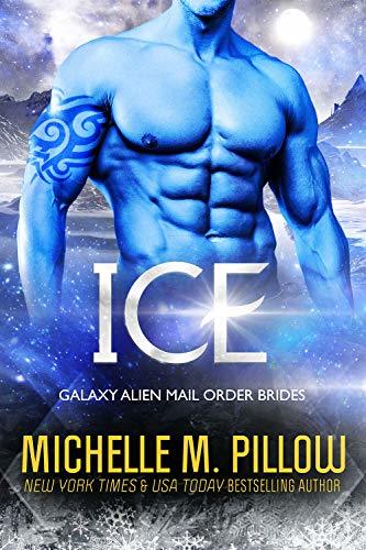 Ice book cover