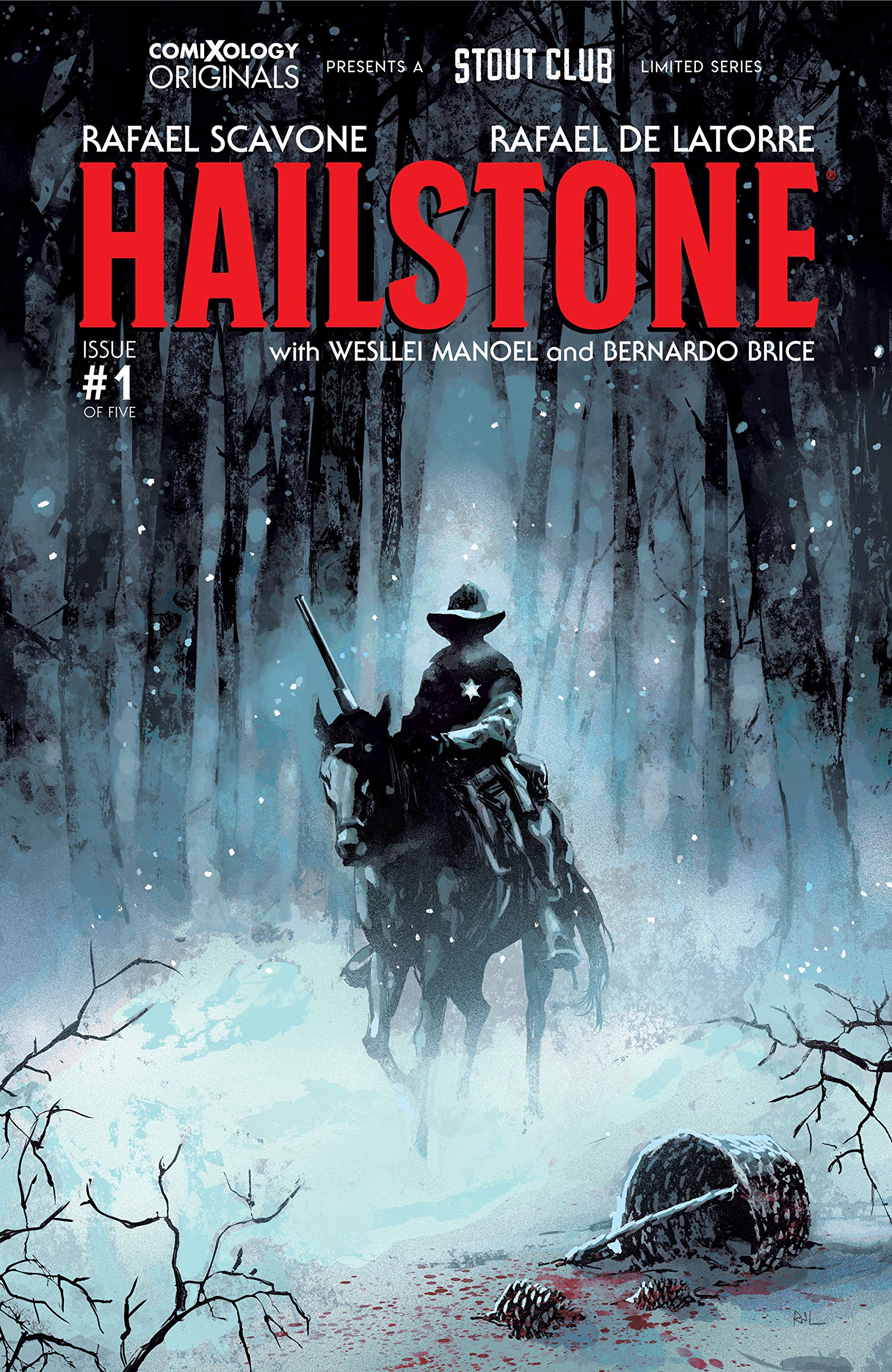 Hailstone book cover 1