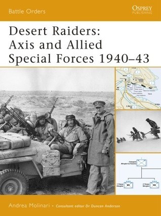 Desert Raiders book cover