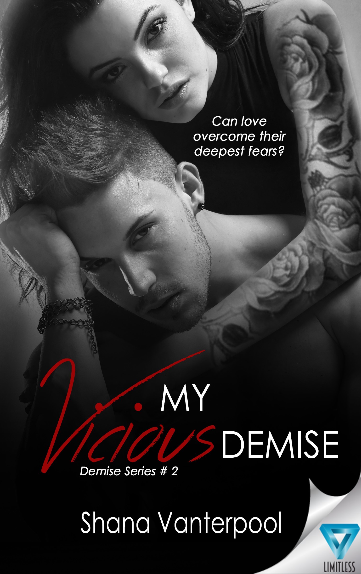 Demise book cover 2