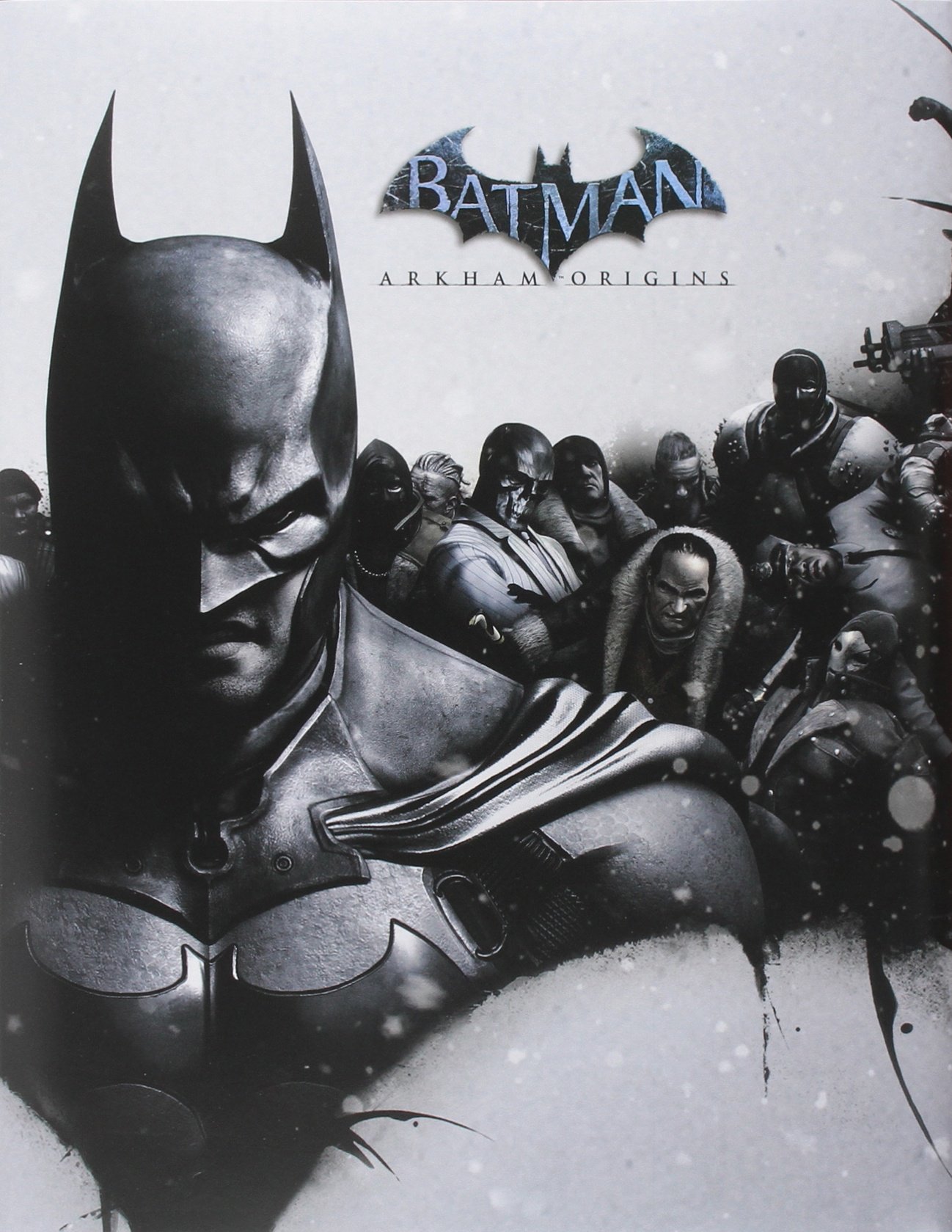 Batman book cover