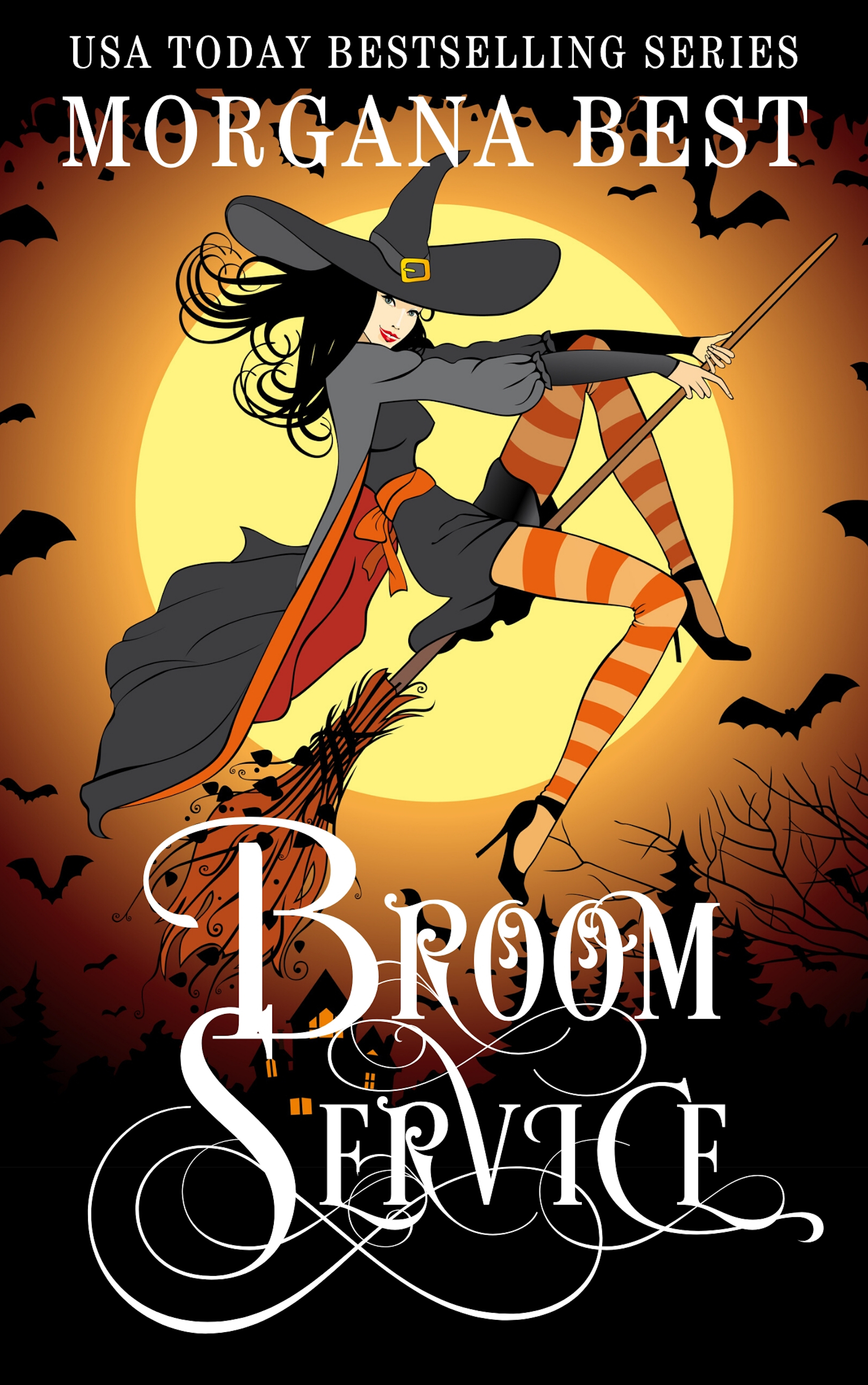 Broom Service book cover