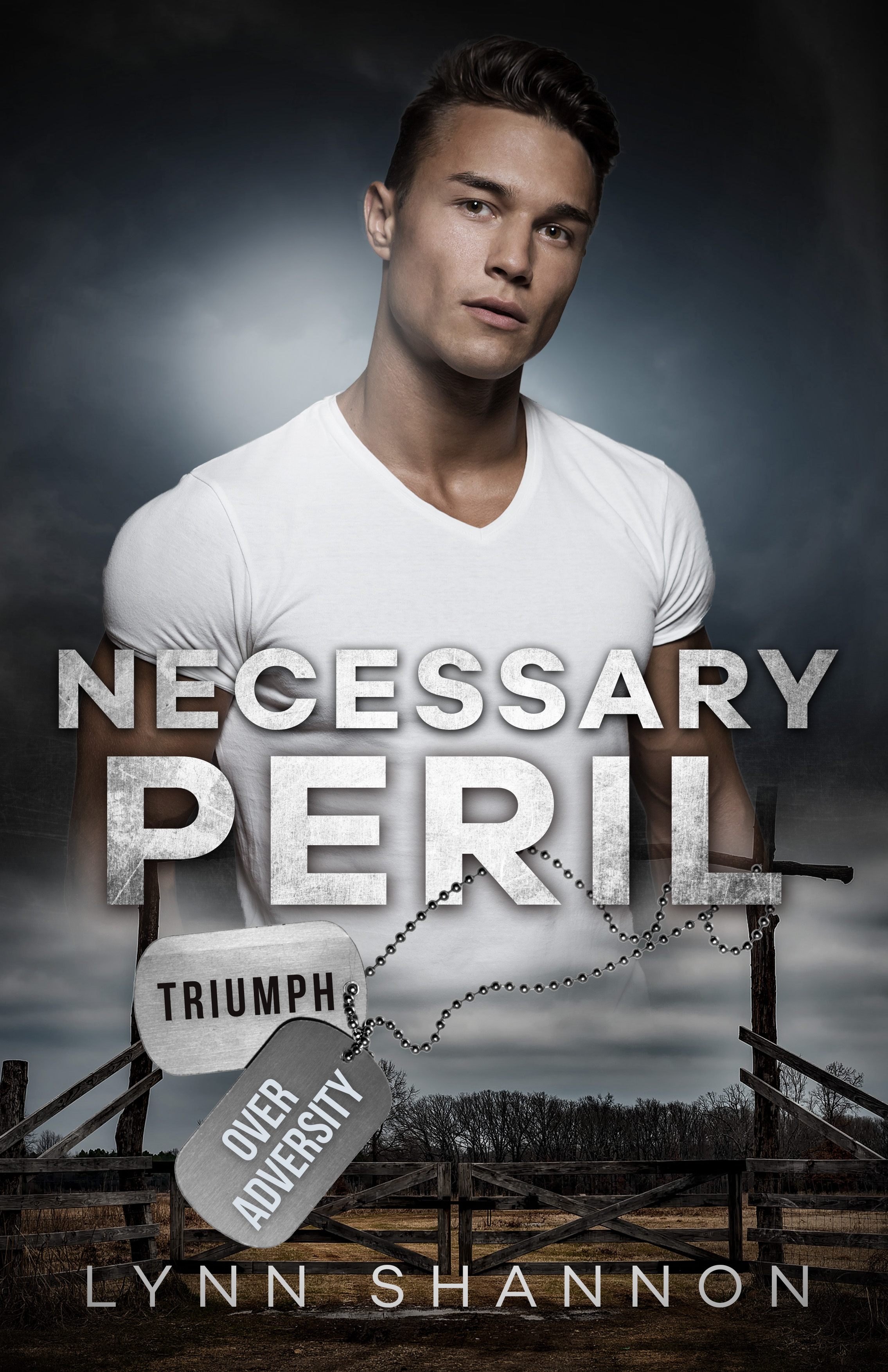 Triumph Over Adversity book cover 3