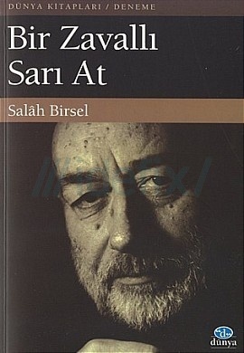 Bir Zavallı Sarı At book cover