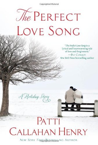 The Perfect Love Song book cover
