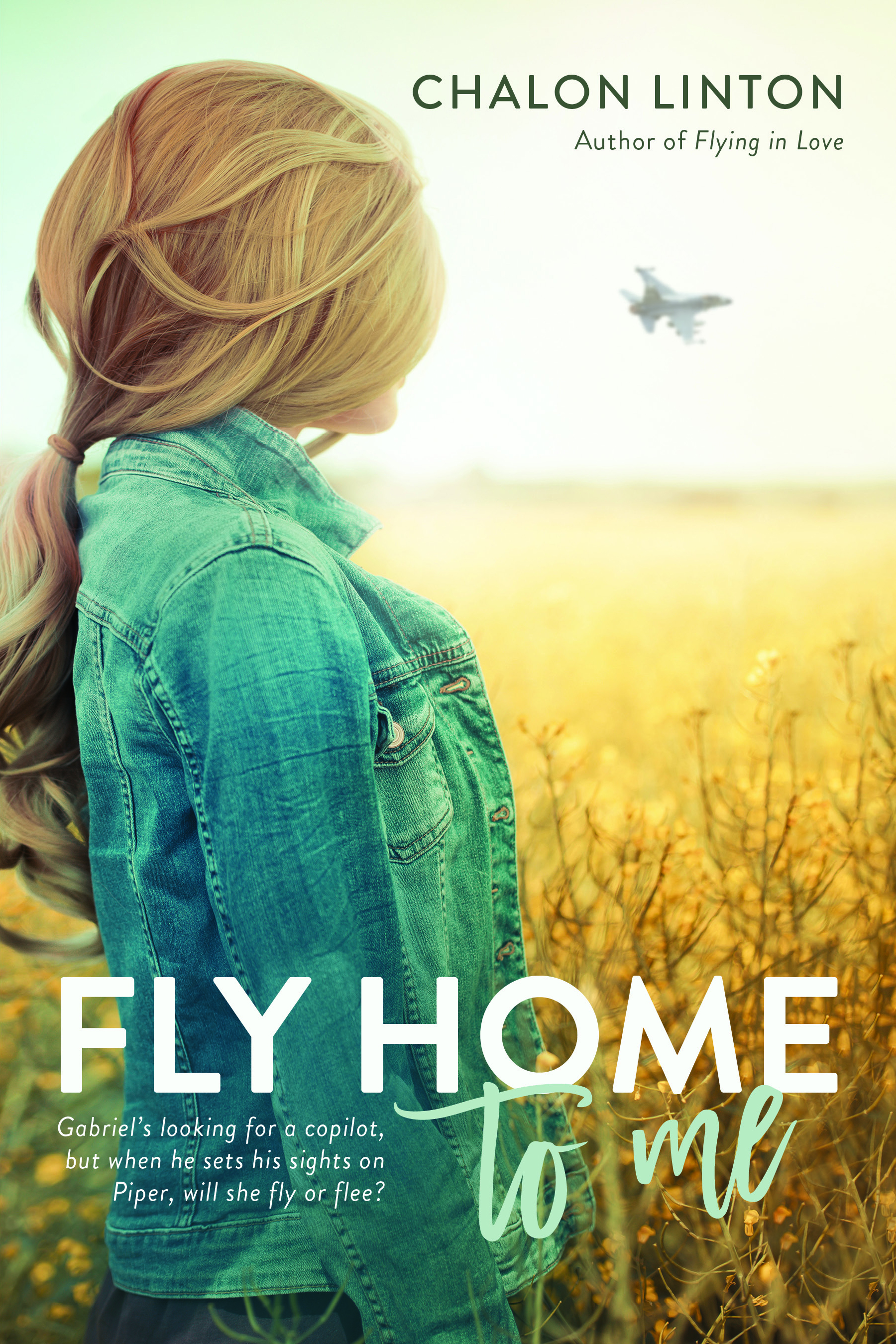 Flying in Love book cover 2