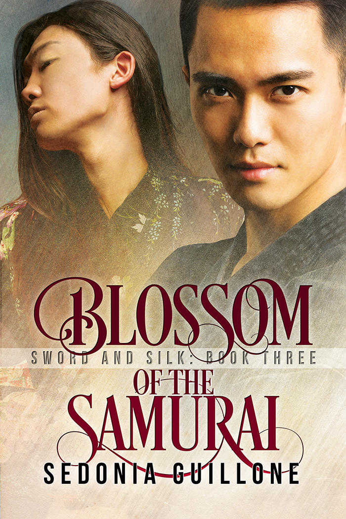 Sword and Silk Trilogy book cover 2