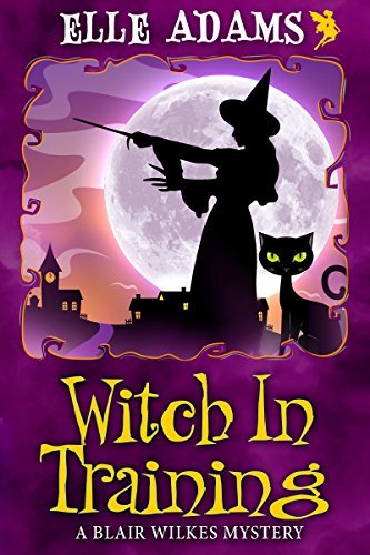 Blair Wilkes Mystery book cover 2