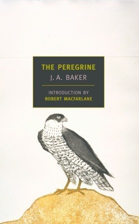 The Peregrine book cover