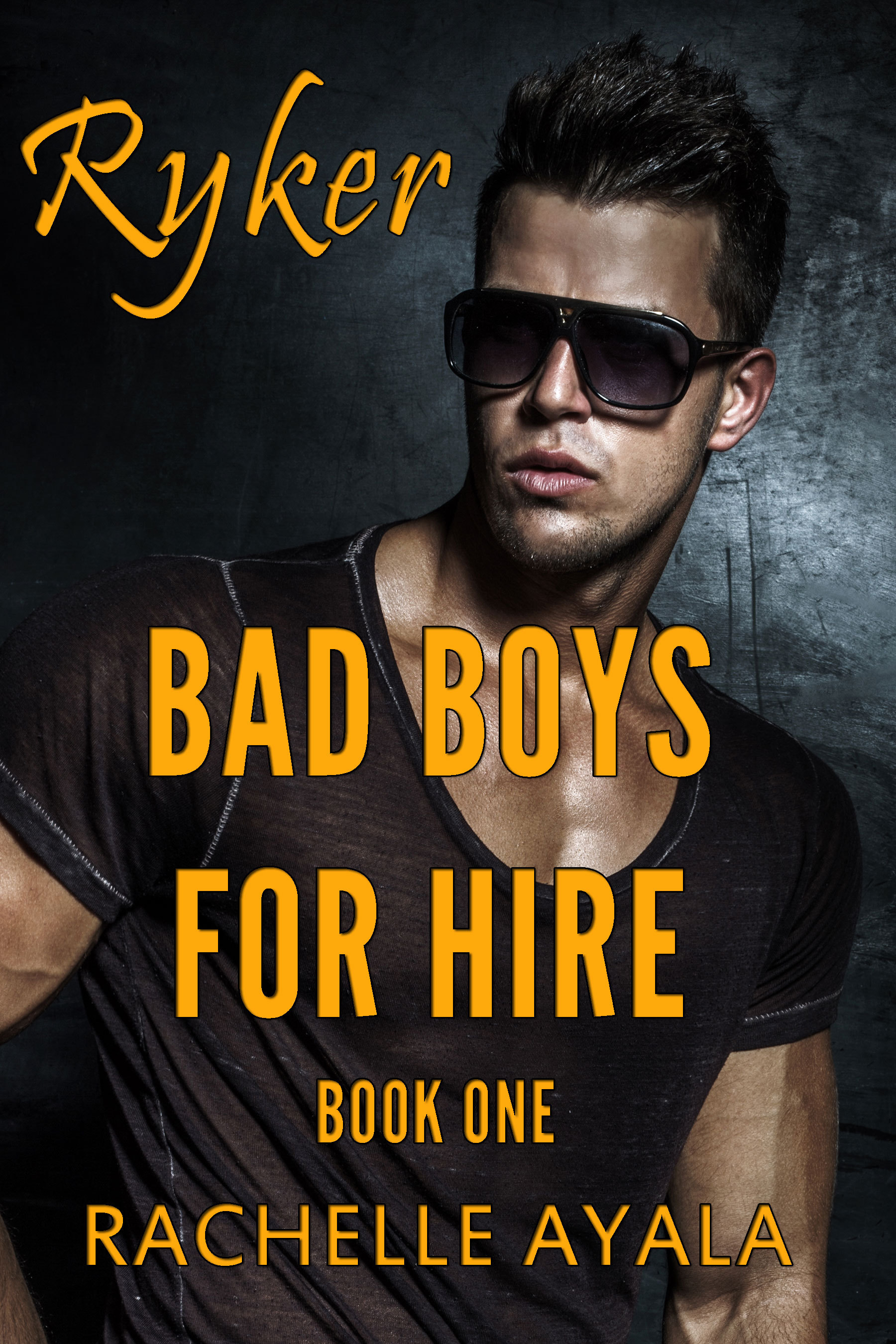 Bad Boys for Hire book cover 1