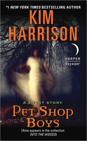 Pet Shop Boys book cover