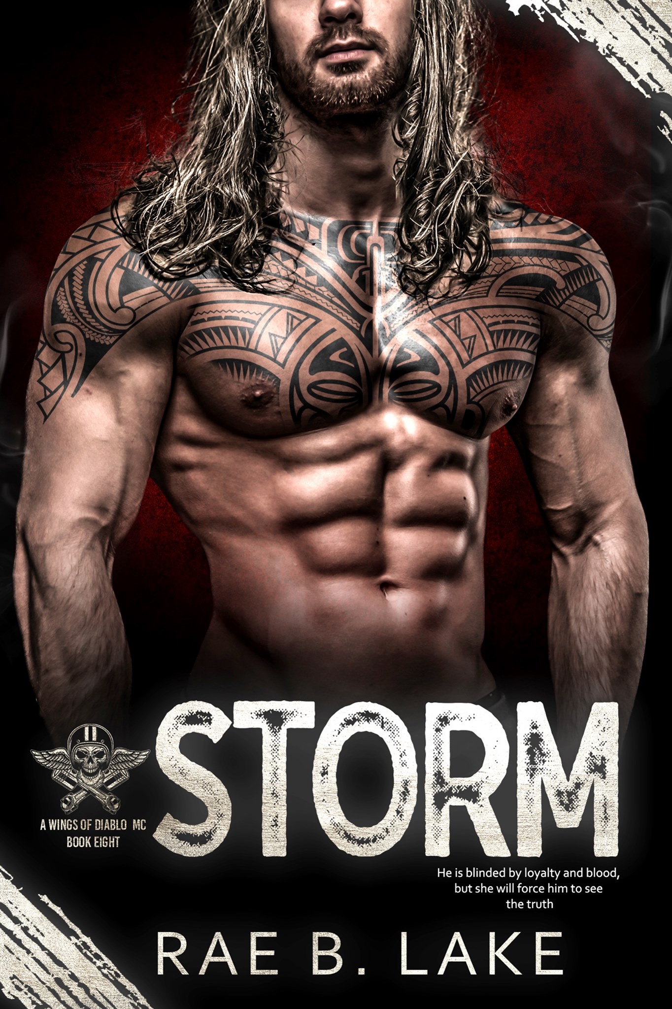 Storm book cover