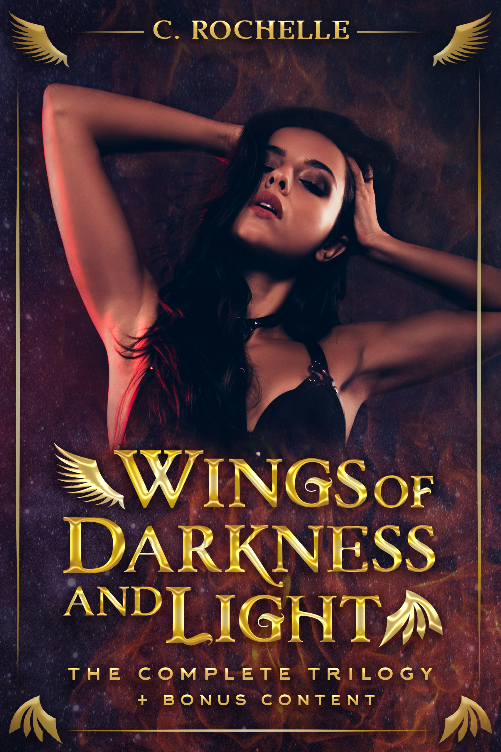 Wings of Darkness + Light book cover