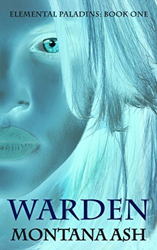 Elemental Paladins book cover 1