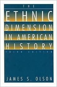 The Ethnic Dimension in American History book cover