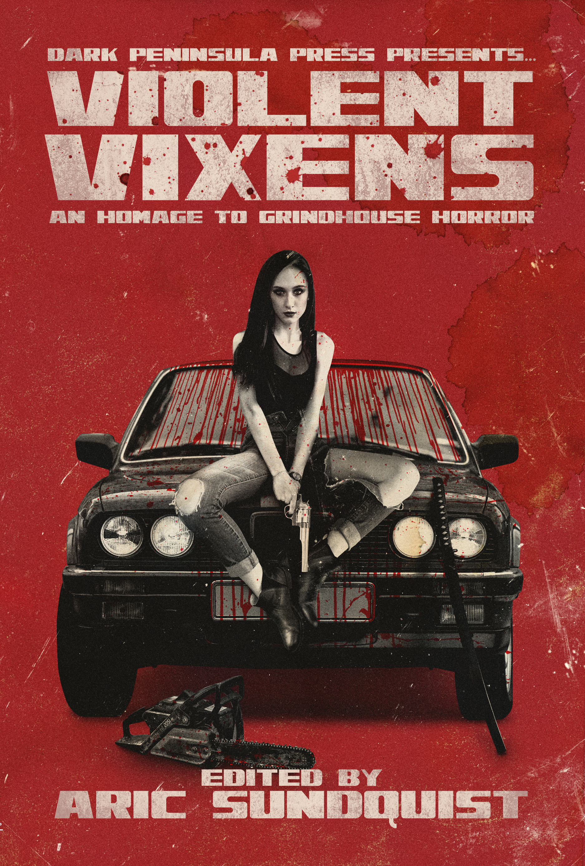 Violent Vixens book cover