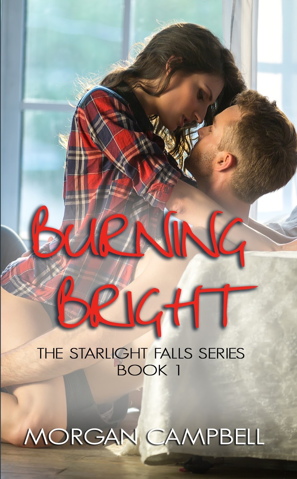 Starlight Falls book cover 1