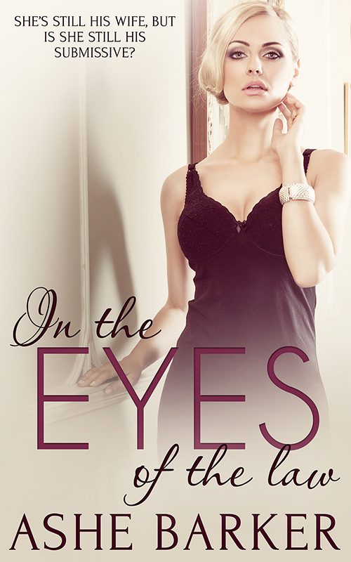 In the Eyes of the Law book cover