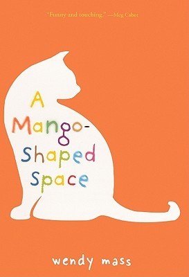 A Mango-Shaped Space book cover