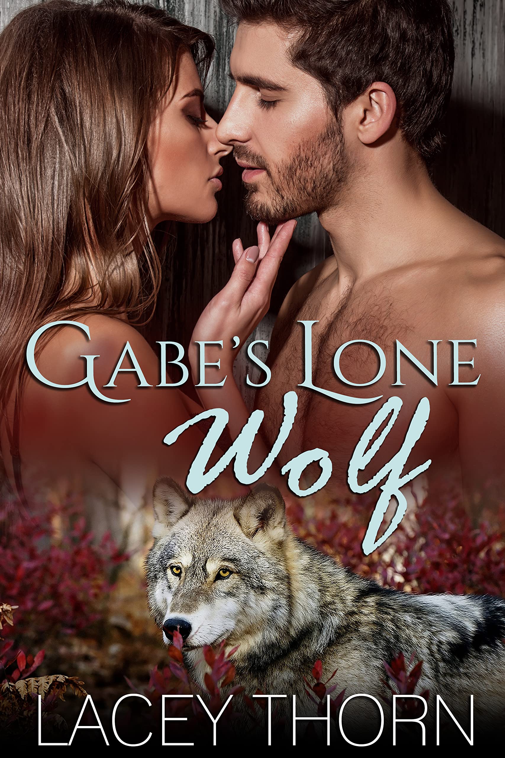Gabe's Lone Wolf book cover