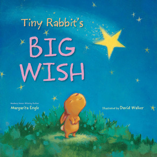 Tiny Rabbit's Big Wish book cover