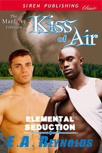 Elemental Seduction book cover 1