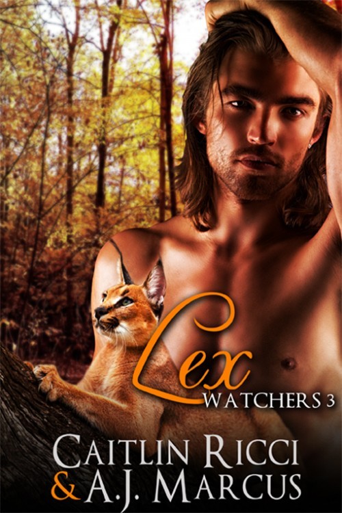 Watchers book cover 3