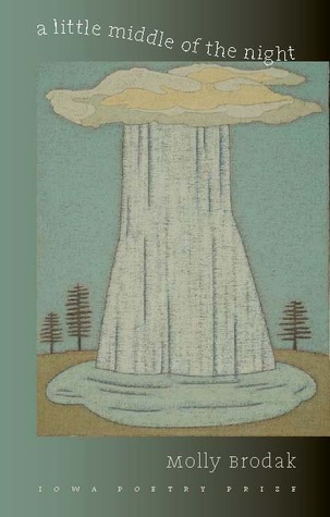 A Little Middle of the Night book cover