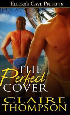The Perfect Cover book cover