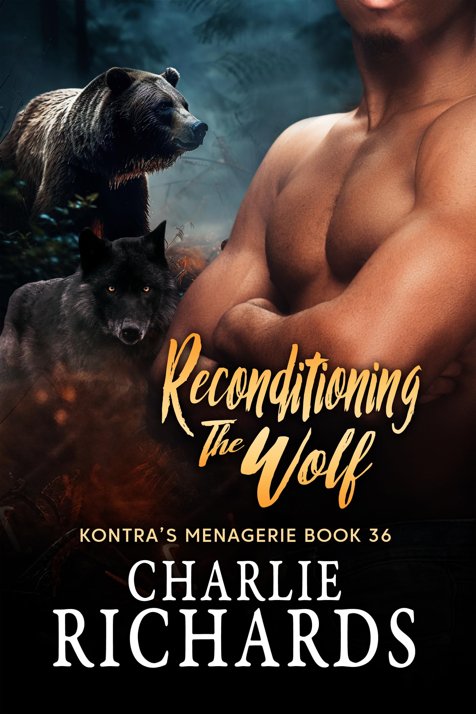 Reconditioning the Wolf book cover