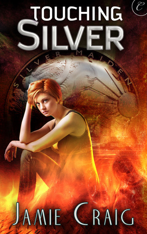 Silver Maiden book cover 2