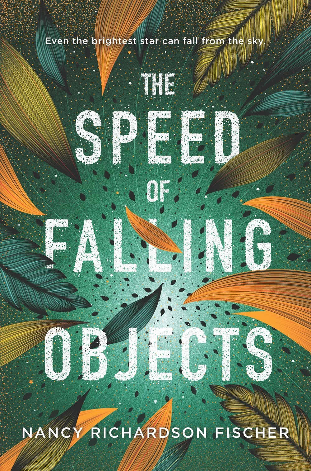 The Speed of Falling Objects book cover