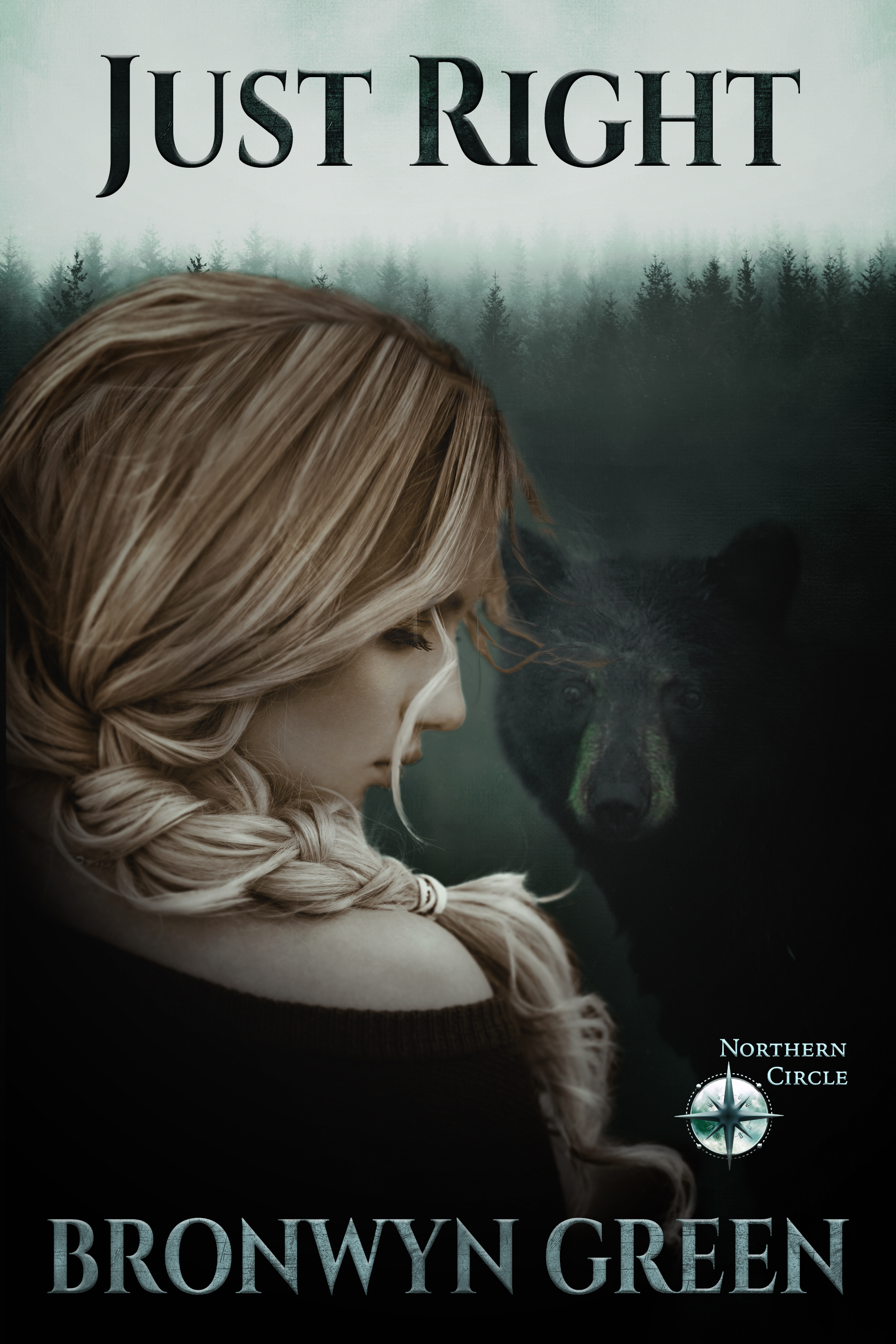 Not Quite Wicked book cover 1
