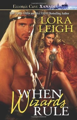 Wizard Twins book cover 2