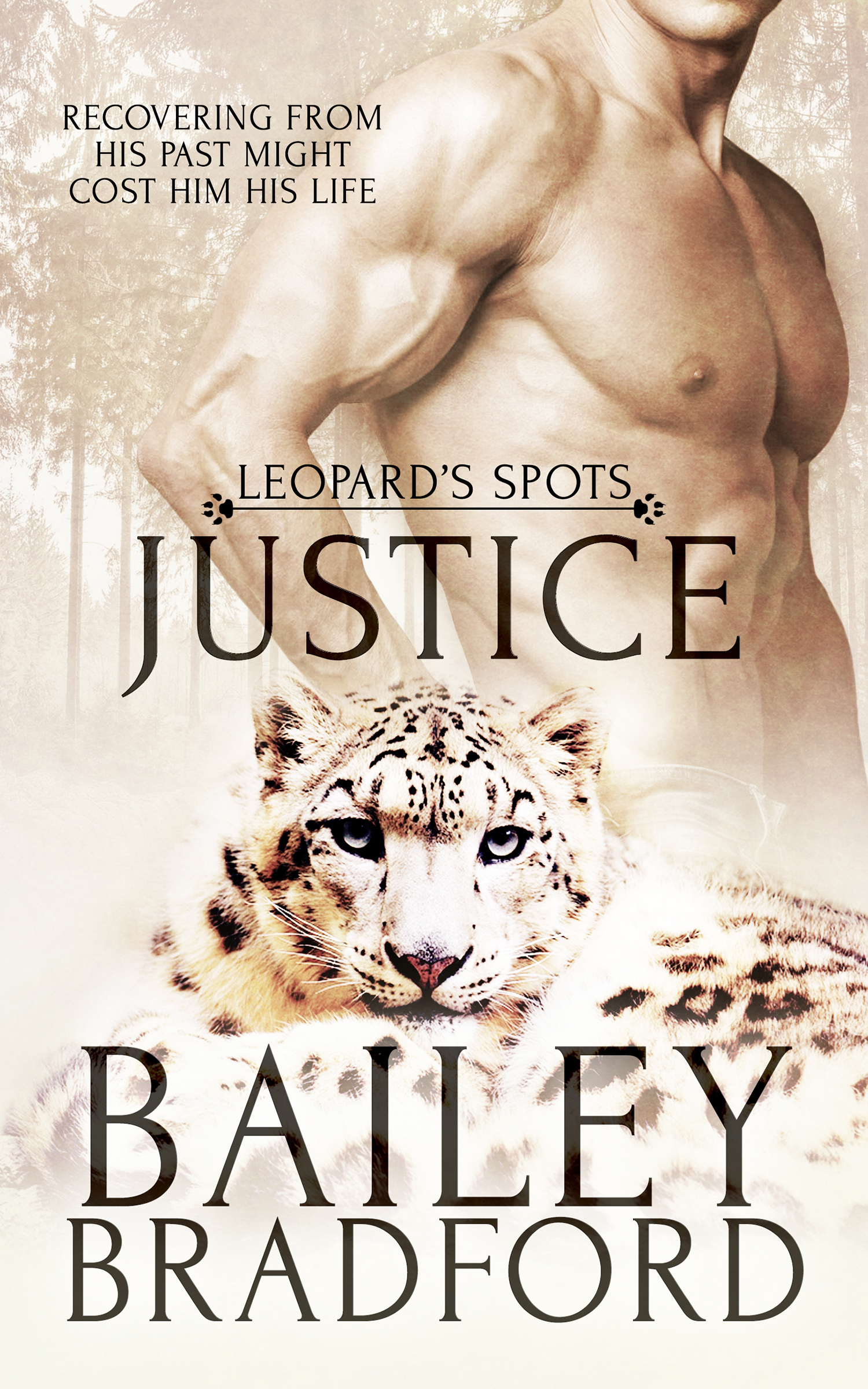 Justice book cover