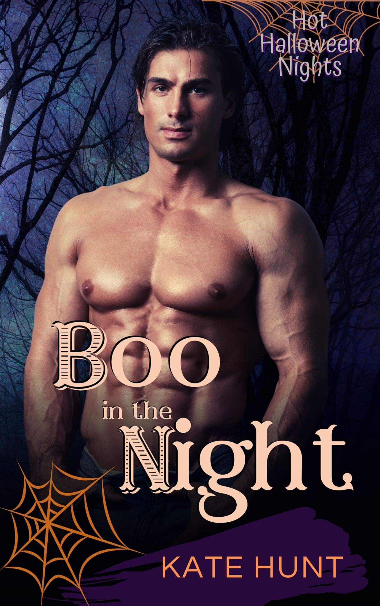 Boo in the Night book cover