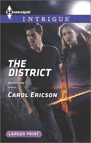 Brody Law book cover 2