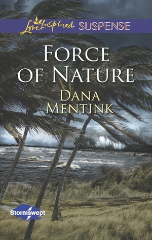 Stormswept book cover 2