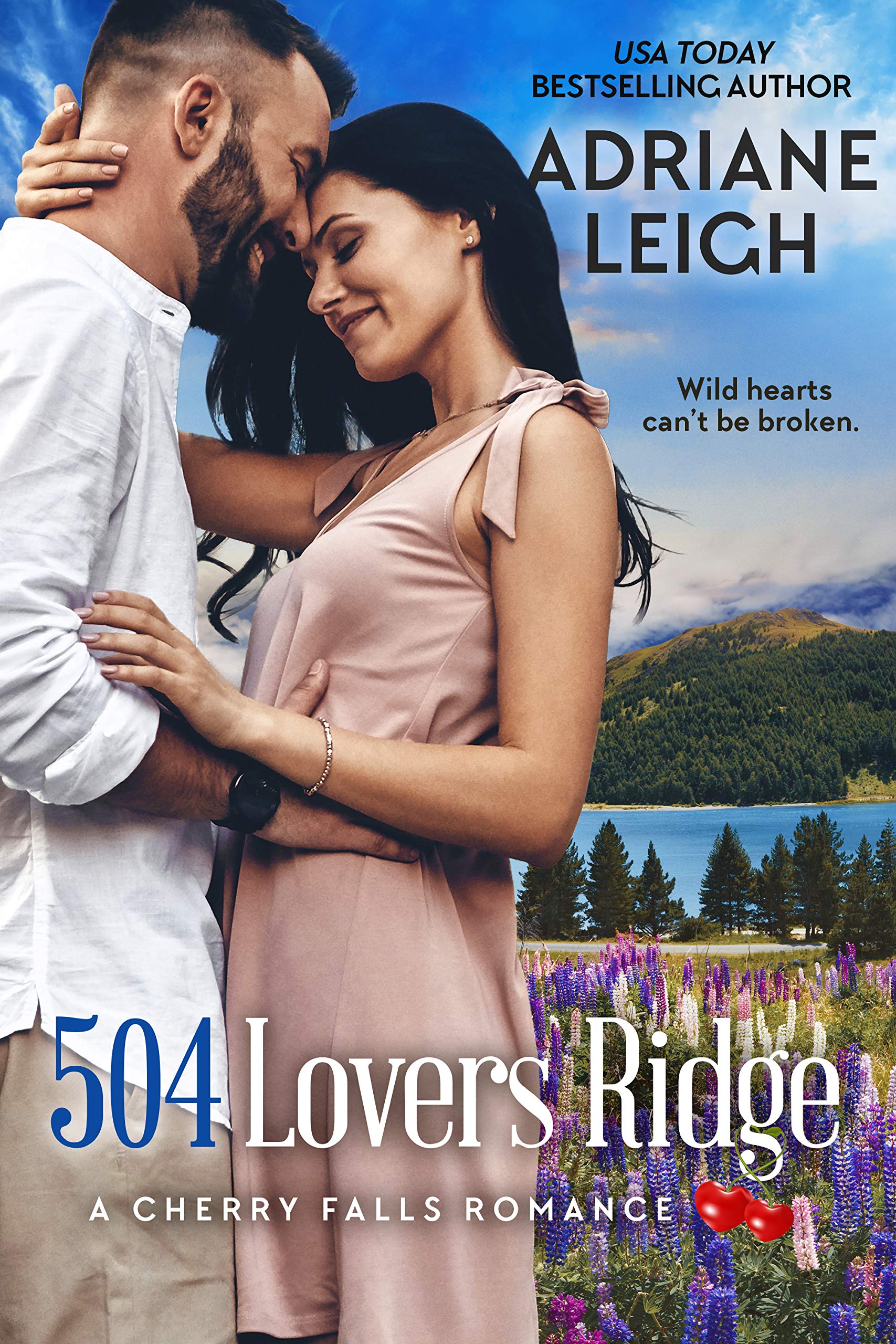 504 Lovers Ridge book cover